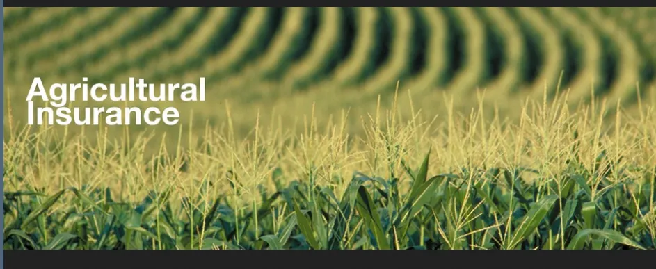 AgriSure Agricultural Insurance Platform